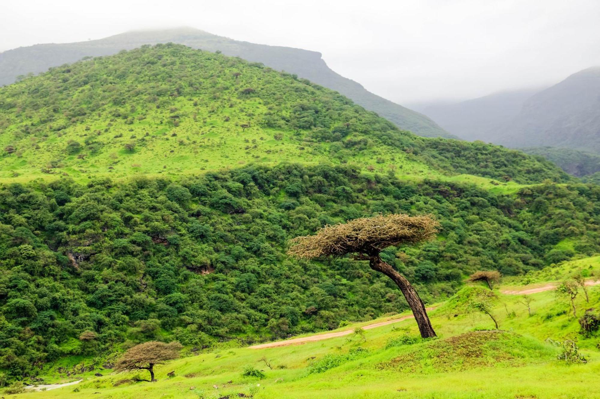 Wyndham Garden Salalah Resort 5*